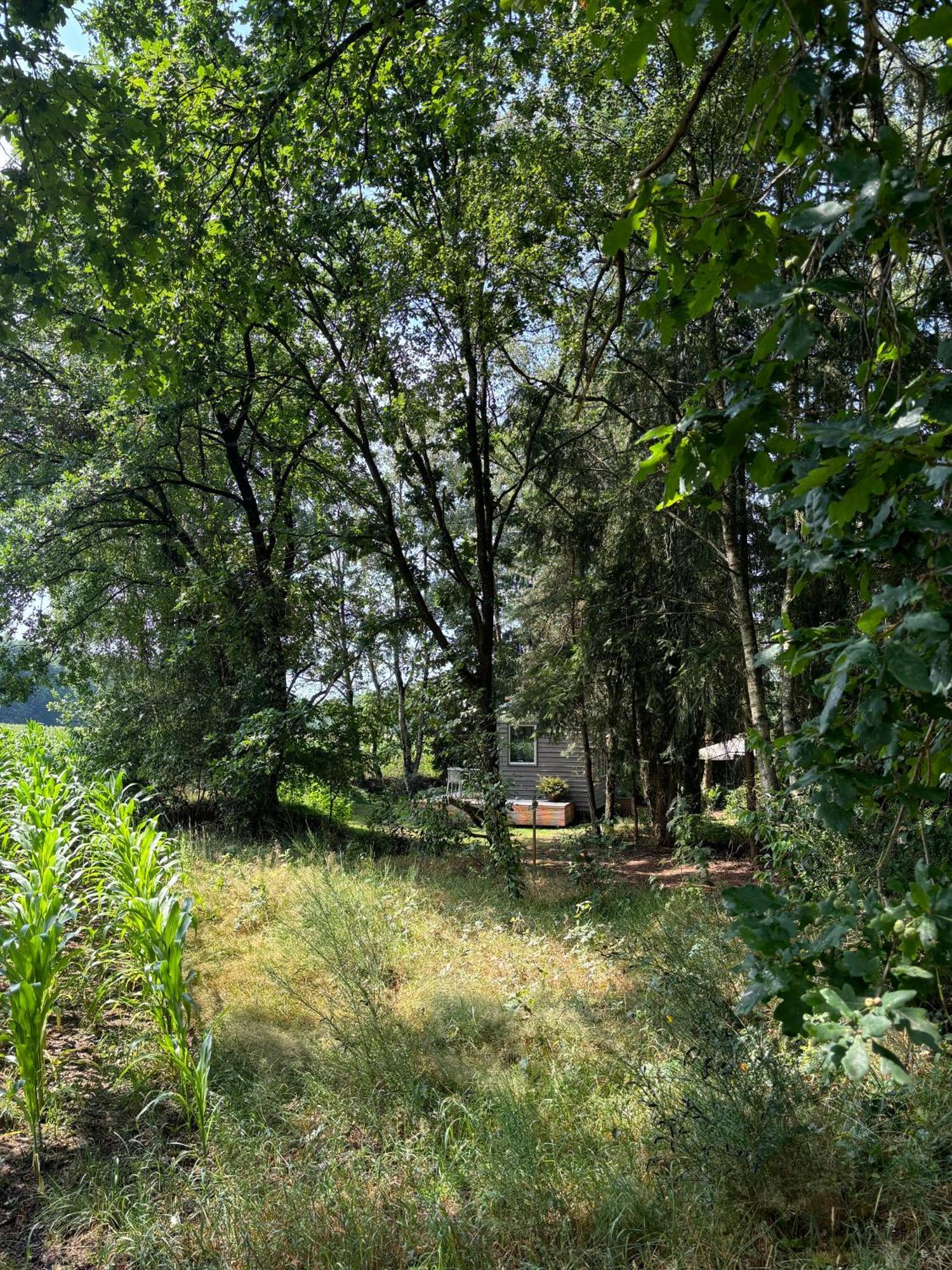 Tiny House Mit Garten In Der Lueneburger Heide Soltau Esterno foto